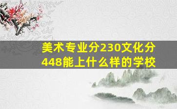 美术专业分230文化分448能上什么样的学校