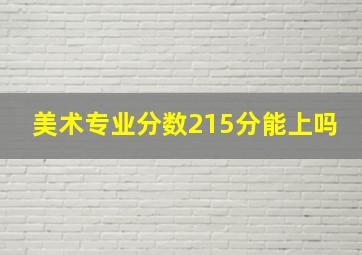 美术专业分数215分能上吗