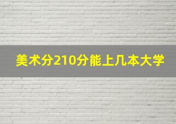 美术分210分能上几本大学