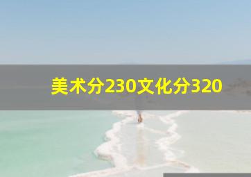 美术分230文化分320