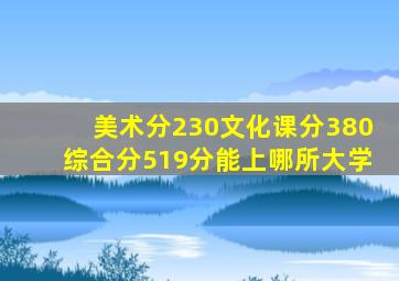 美术分230文化课分380综合分519分能上哪所大学