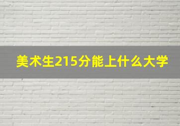 美术生215分能上什么大学