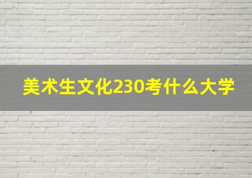 美术生文化230考什么大学