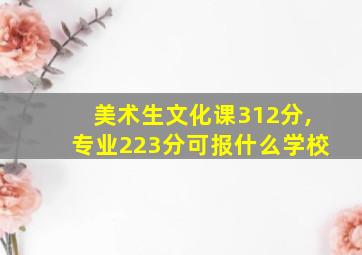 美术生文化课312分,专业223分可报什么学校