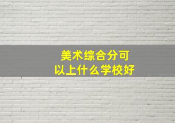 美术综合分可以上什么学校好