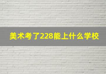 美术考了228能上什么学校