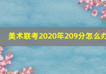 美术联考2020年209分怎么办