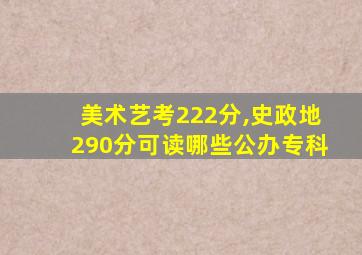 美术艺考222分,史政地290分可读哪些公办专科