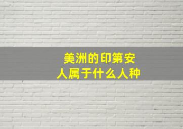 美洲的印第安人属于什么人种