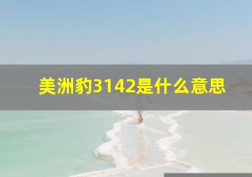 美洲豹3142是什么意思