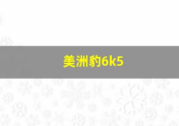 美洲豹6k5