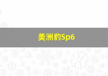 美洲豹Sp6