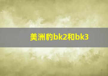 美洲豹bk2和bk3