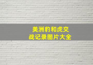 美洲豹和虎交战记录图片大全