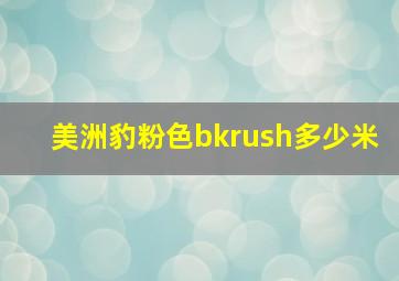 美洲豹粉色bkrush多少米