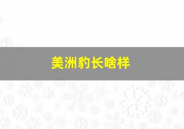 美洲豹长啥样