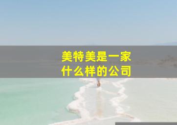 美特美是一家什么样的公司