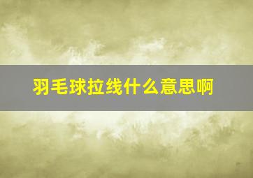 羽毛球拉线什么意思啊