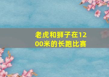 老虎和狮子在1200米的长跑比赛