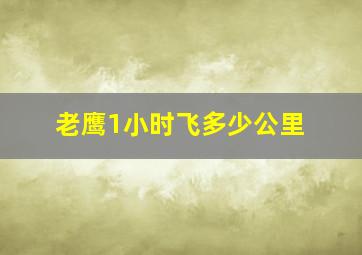 老鹰1小时飞多少公里