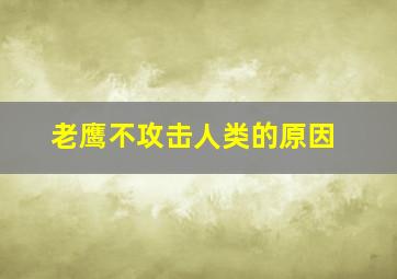 老鹰不攻击人类的原因