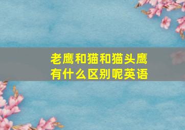 老鹰和猫和猫头鹰有什么区别呢英语