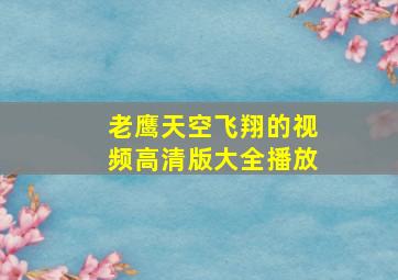 老鹰天空飞翔的视频高清版大全播放