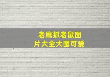 老鹰抓老鼠图片大全大图可爱