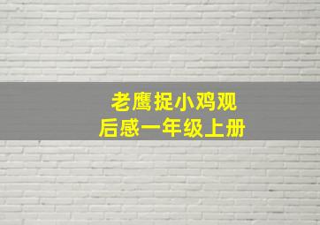 老鹰捉小鸡观后感一年级上册