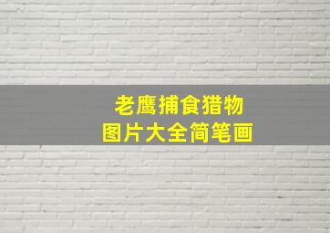 老鹰捕食猎物图片大全简笔画