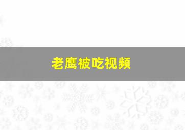 老鹰被吃视频