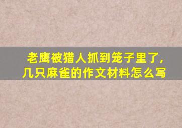 老鹰被猎人抓到笼子里了,几只麻雀的作文材料怎么写