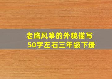 老鹰风筝的外貌描写50字左右三年级下册