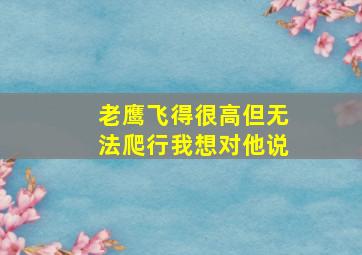 老鹰飞得很高但无法爬行我想对他说