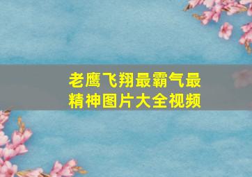 老鹰飞翔最霸气最精神图片大全视频