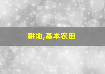 耕地,基本农田