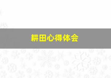 耕田心得体会