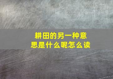 耕田的另一种意思是什么呢怎么读