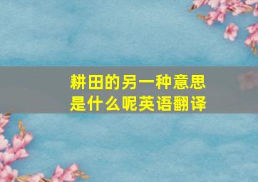 耕田的另一种意思是什么呢英语翻译