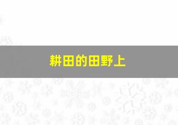 耕田的田野上