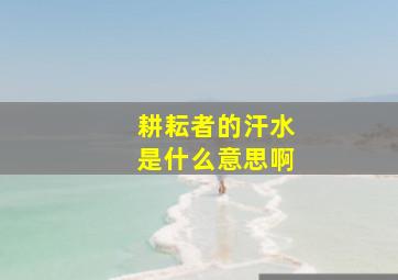 耕耘者的汗水是什么意思啊