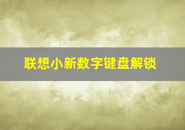 联想小新数字键盘解锁