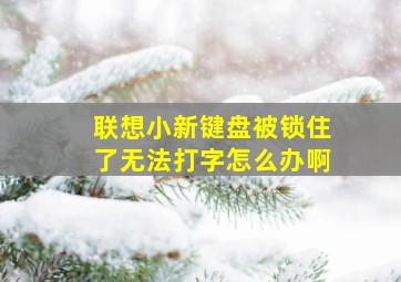 联想小新键盘被锁住了无法打字怎么办啊