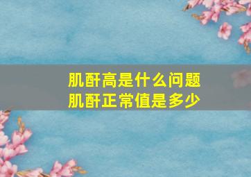 肌酐高是什么问题肌酐正常值是多少