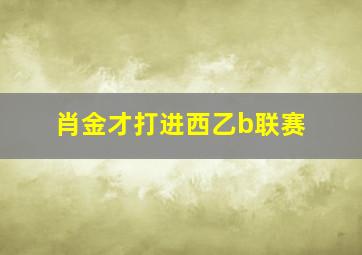 肖金才打进西乙b联赛