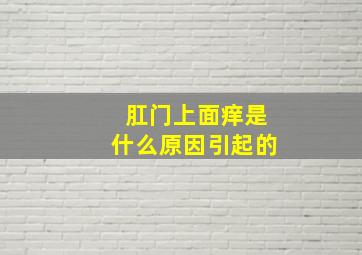 肛门上面痒是什么原因引起的