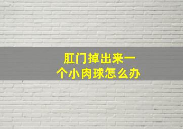 肛门掉出来一个小肉球怎么办