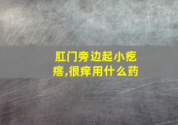 肛门旁边起小疙瘩,很痒用什么药