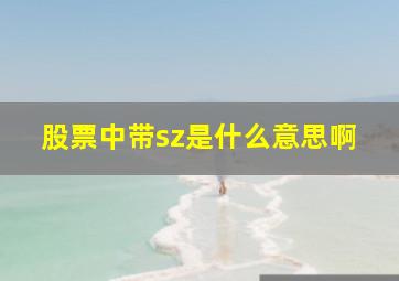 股票中带sz是什么意思啊