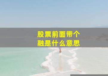 股票前面带个融是什么意思